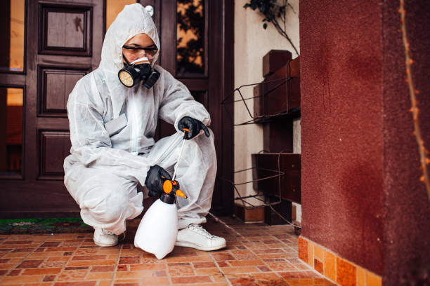 Reliable Wasp Removal contractor in Mountain Brook, AL by Show Me Pest Control